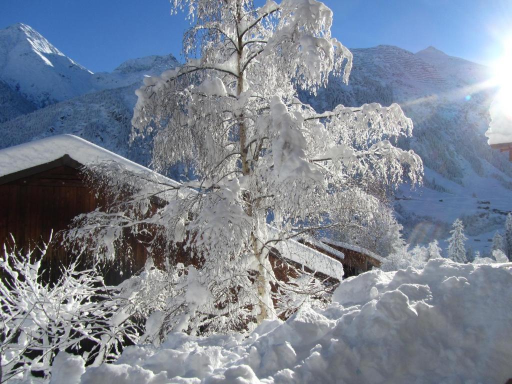 Hotel Cuntera Curaglia Extérieur photo